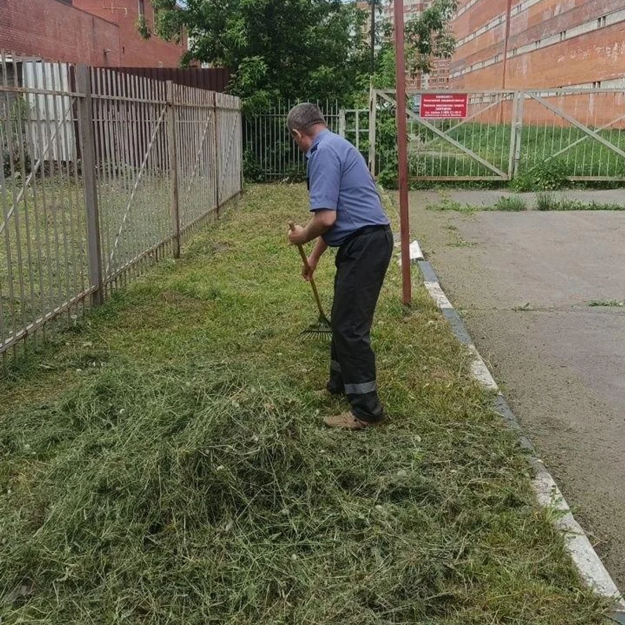 Покос травы